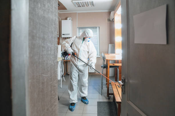 Best Mold Prevention Services  in Sheldon, IA