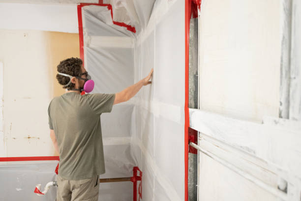 Best Water Damage & Mold Remediation  in Sheldon, IA