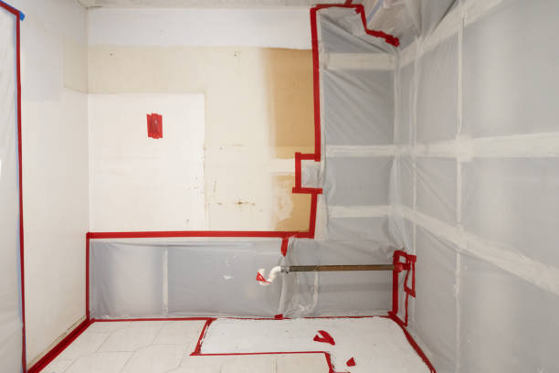 Best Indoor Air Quality Assessment  in Sheldon, IA